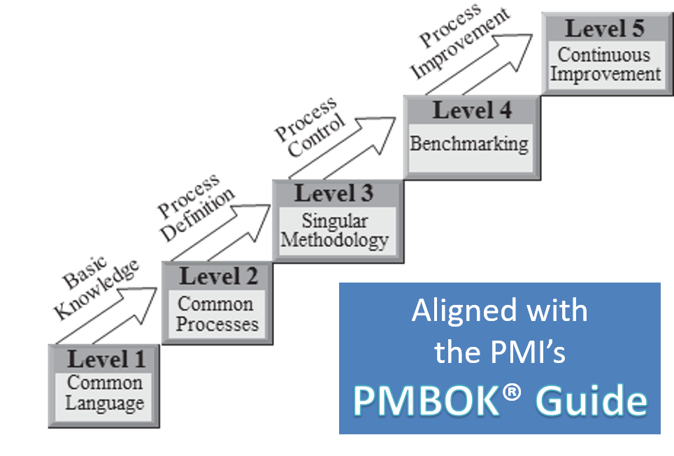 Organizational Project Management maturity model (opm3). Модель зрелости PMI opm3. Стандарт PMI opm3. Стандарт Organizational Project Management maturity model (opm3®. Менеджер проектов pmi