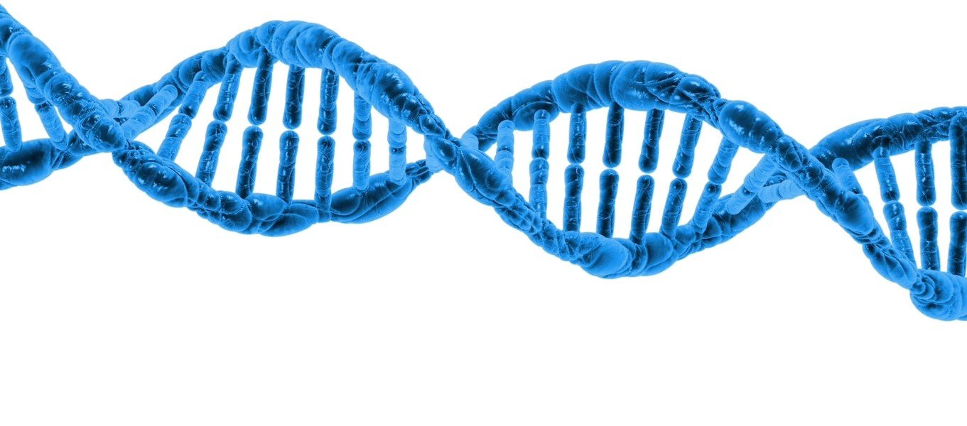 PROFITABLE GROWTH and structured BUSINESS INTELLIGENCE – reflections on evolution stages