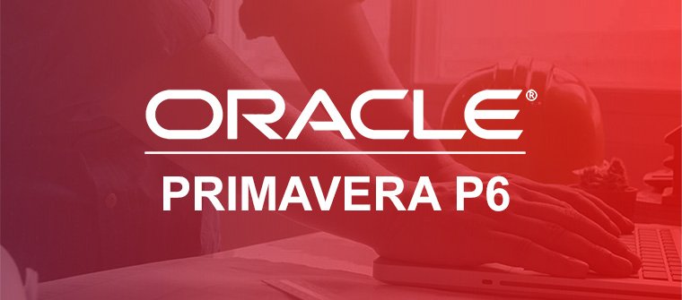 Primavera P6